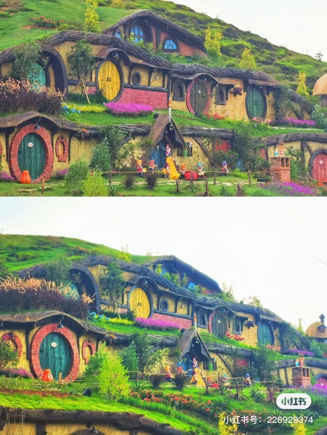 QQ图片20220602112704.jpg QQ图片20220602112704.jpg