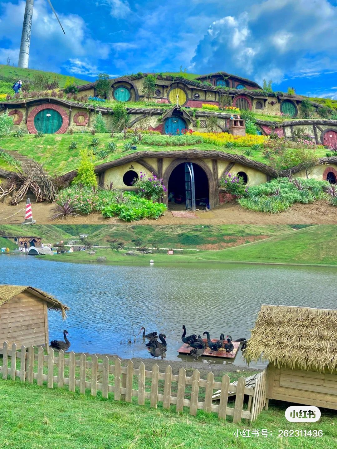 QQ图片20220602113848.jpg QQ图片20220602113848.jpg