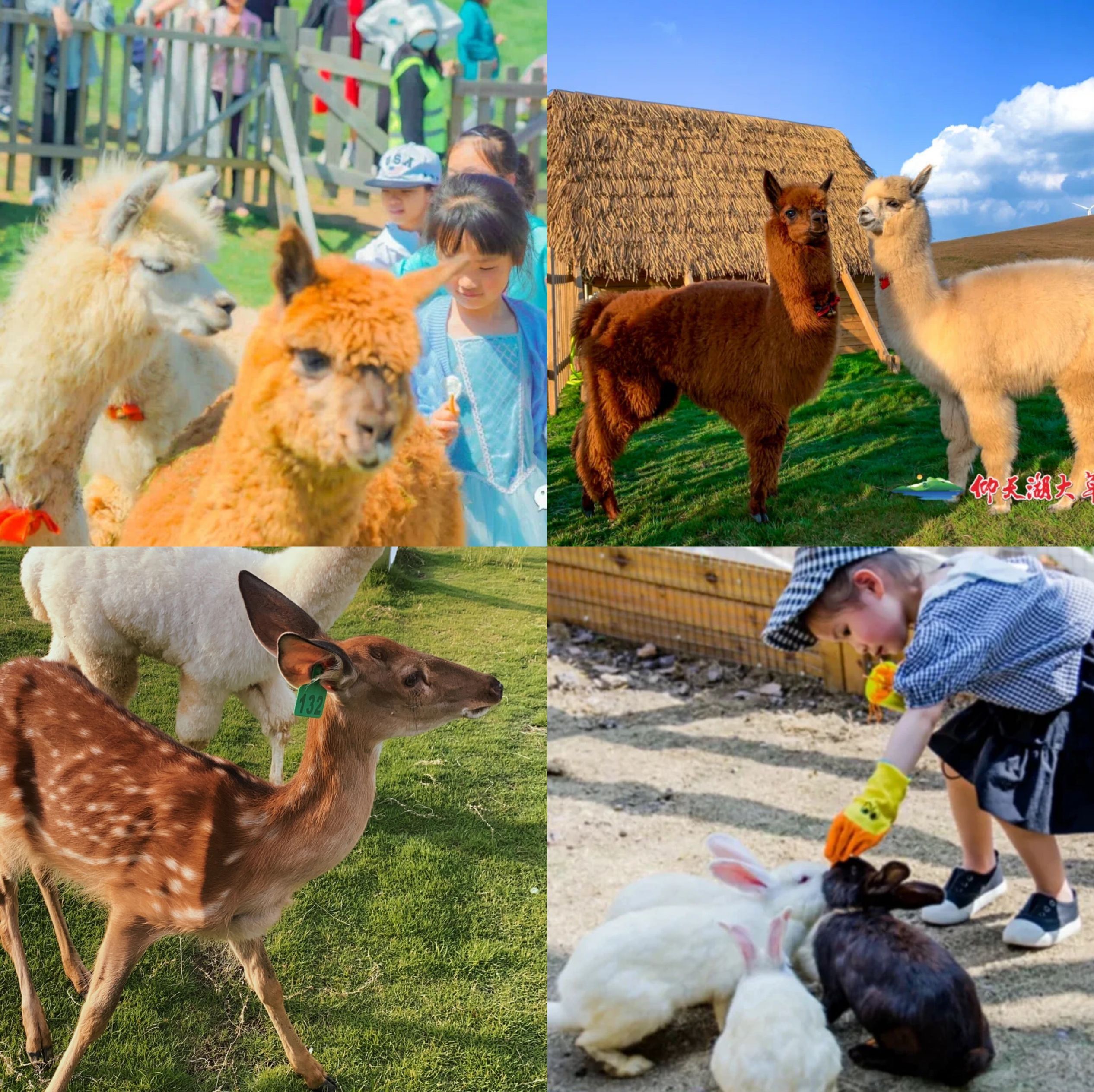 QQ图片20220602114812.jpg QQ图片20220602114812.jpg