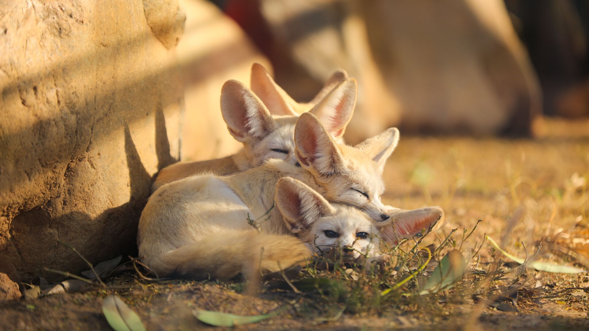 QQ图片20220602160717.jpg QQ图片20220602160717.jpg