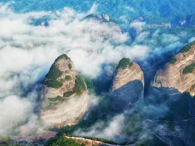 mmexport1655193325505.jpg mmexport1655193325505.jpg