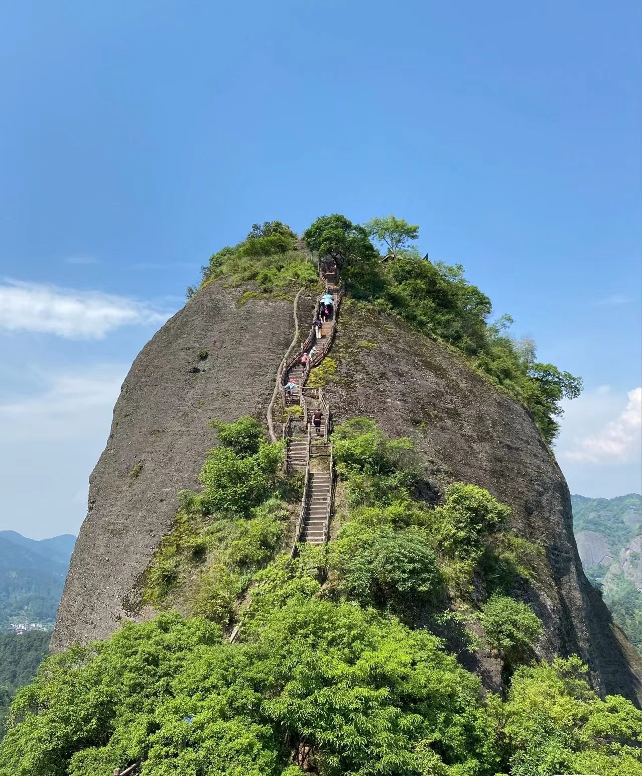 mmexport1655193794064.jpg mmexport1655193794064.jpg