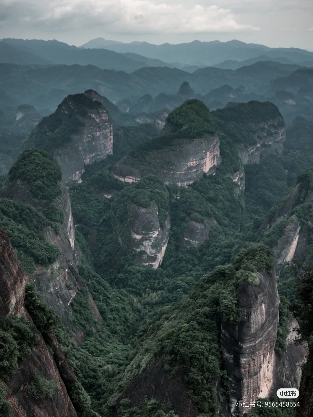 B7958FD5-2903-4B4A-A522-B9FC02AD84E5.jpeg B7958FD5-2903-4B4A-A522-B9FC02AD84E5.jpeg