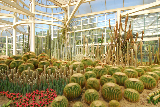 851091_20160429112000343400_0