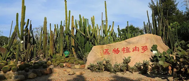 26a0607e8dc9f32b7890631ce6579d82bf76714c5228a-YWQZ1L_fw658.w